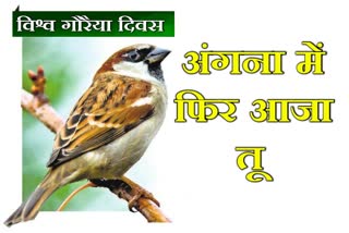 story on world sparrow day