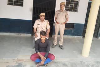 kaman bharatpur news, accused arrested, चोरी का मामला