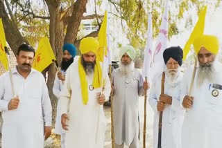 new crop purchase policy protest sirsa