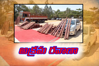 huge-illegal-red-sandal-wood-seize-in-chithore