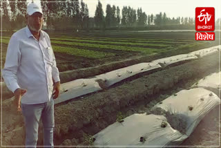 panipat farmer contract farming