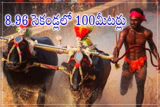 Usain Bolt fame Srinivasa Gowda creates new record in Kambala