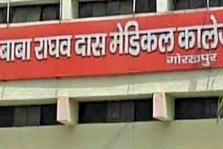 Dogs bite off patient's body at government hospital in UP