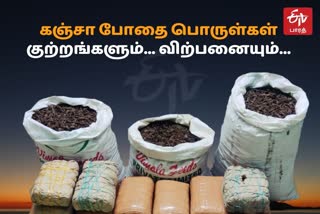 சென்னையில் கஞ்சா போதையில் அதிகரிக்கும் குற்றங்கள்  கஞ்சா சிறப்பு தொகுப்பு  கஞ்சா போதையை தவிர்ப்பது எப்படி  கஞ்சா பழக்கத்திலிருந்து விடுபடுவது எப்படி  கஞ்சா போதையால் ஏற்படும் பாதிப்புகள் என்ன  Cannabis crime on the rise in Chennai  Cannabis Special Package  How to Avoid Cannabis Addiction  How To Get Rid Of Cannabis Addiction  What are the side effects of cannabis addiction