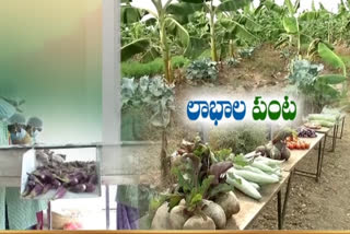 organic farming with new trend