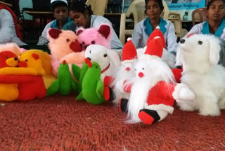 Pakur's teddy will end China's dominance in India's toy market