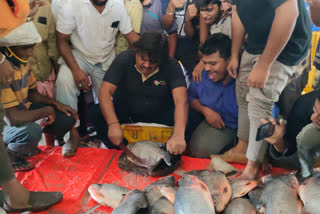 an independent contestant Mansoor Ali Khan campaigned at covai fish market