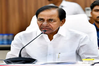 CM kcr wishes to telangana people world Forest Day