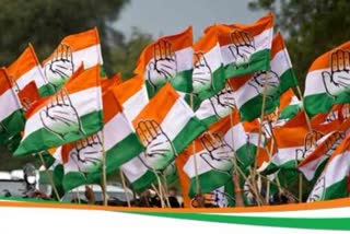 Himachal Congress released list of candidates for municipal elections