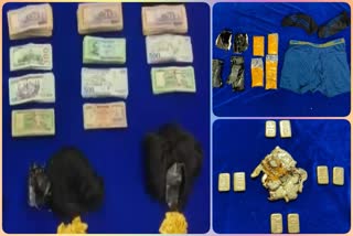 Customs at Chennai International Airport seized 5.55 kg gold worth Rs 2.53 crorse