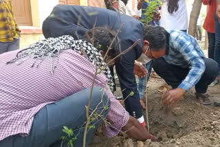 seminar organized on international forest day in sahibganj