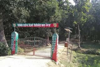 लकड़ी तस्करों ने वन रक्षक पर की फायरिंग