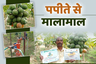 dholpur farmer laxmikant sharma, dholpur farmer news