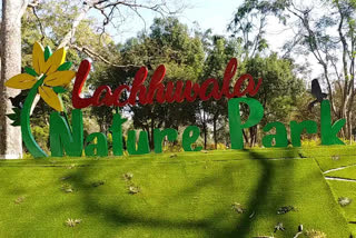 Lachhiwala Nature Park