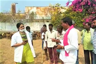 gorrela pampini in Tripuraram, Nalgonda district has sparked controversy