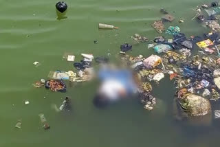 सुजान गंगा नहर में मिला व्यक्ति शव, Dead body found in Sujan Ganga Canal