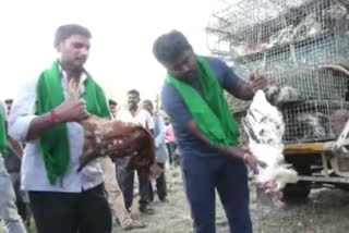 Mandya farmers opposed Tamilnadu poultry sale