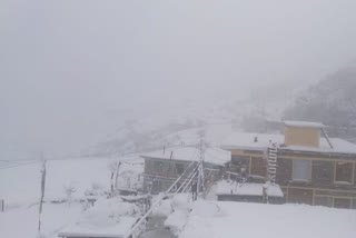 Snowfall in kullu