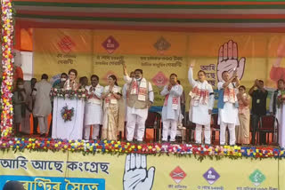 priyanka gandhi slams bjp while addressing election campaign rally at batadroba