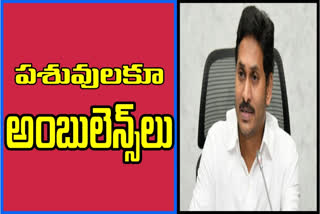 వెటర్నరీ పోస్టుల భర్తీకి సీఎం జగన్ గ్రీన్ ​సిగ్నల్!