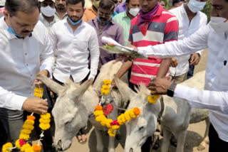 morcha on donkey in sangli electricity bill