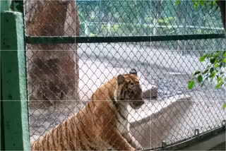 Indore Zoo