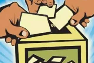 Pandharpur Election