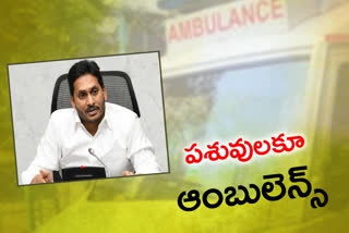 cm-jagan-review-on-animal-husbandry