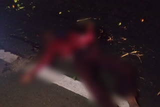 bike rider died, bike rider died in accident, bike rider died in accident at Vijayapura, Vijayapura crime news, ಬೈಕ್​ ಸವಾರ ಸಾವು, ರಸ್ತೆ ಅಪಘಾತದಲ್ಲಿ ಬೈಕ್​ ಸವಾರ ಸಾವು, ವಿಜಯಪುರದಲ್ಲಿ ರಸ್ತೆ ಅಪಘಾತದಲ್ಲಿ ಬೈಕ್​ ಸವಾರ ಸಾವು, ವಿಜಯಪುರ ಅಪರಾಧ ಸುದ್ದಿ,