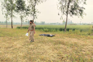 Bodies of 2 sisters found hanging in UP's Pilibhit