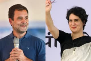 Rahul, Priyanka trying to woo tea garden workers in Assam  രാഹുലും പ്രിയങ്കയും  അസമിലെ തേയില തോട്ട തൊഴിലാളികൾ  tea garden workers in Assam  Rahul, Priyanka