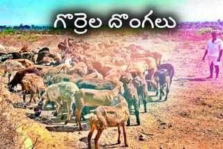 youngsters were beaten as they tried to steal sheeps in kamareddy