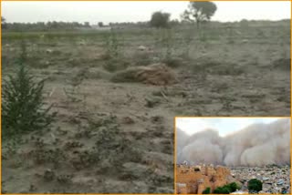 girdawari in rajasthan,  damage crop
