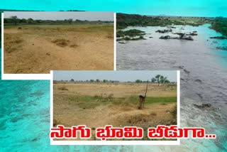 farmland-flooded-and-there-is-no-chance-for-farming-in-farmers-land-narayanpet-district