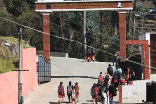 kodaikanal university