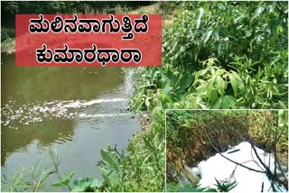 river-kumaradhaara-getting-polluted-due-to-drainage-water