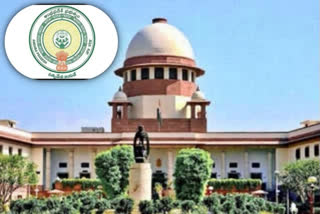 supreme court