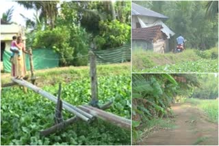 Ambalapuzha village