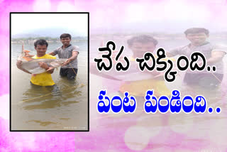 22kg  big fish found at godavari