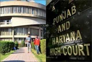 High court has approved for Senate elections in Punjab University