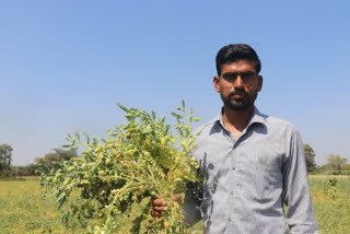 Young farmer of khargone