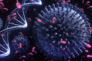 A new double mutant variant of the coronavirus has been detected in 18 states in india