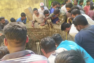 deer strayed from the herd and rescued and left in a safe forest in lohardaga