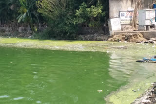 Vivekananda Sarovar is getting polluted day by day in Ranchi