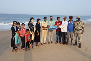 Olive Ridley baby turtles released at sea at Sindhudurg district