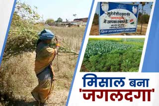 success story of jagaldaga village of latehar