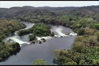 Allegation of Kali River diversion