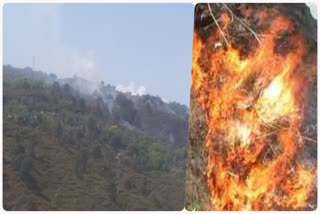 fire-in-belkandi-forests-of-srinagar-garhwal