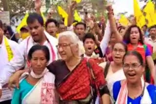 Assam polls: Akhil Gogoi's 84-yr-old mother, Medha Patkar campaigns for him
