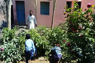 Vegetable farming in school in bihar  സ്‌കൂളിൽ പച്ചക്കറിത്തോട്ടം ഒരുക്കി കുട്ടികൾ  Farming in schools